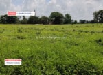 1 Acre Land for sale in Kanakapura road (3)