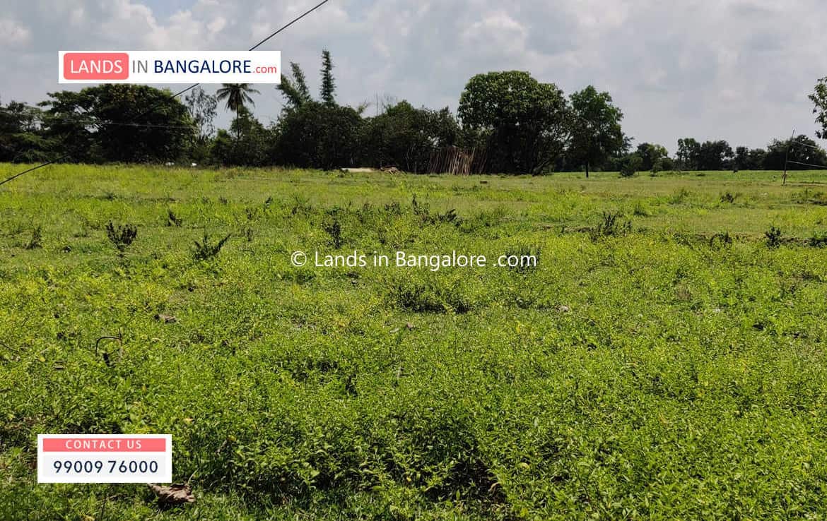 1 Acre Land for sale in Kanakapura road