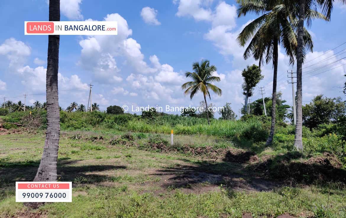 2 Acres Agricultural land for sale in Kaggalipura Kanakapura
