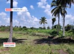 2 Acres Agricultural land for sale in Kaggalipura Kanakapura (1)