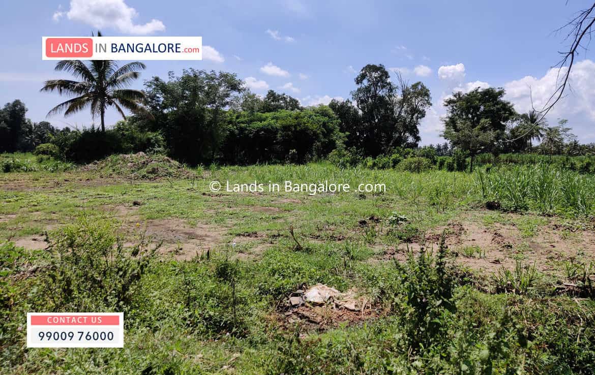 2 Acres Agricultural land for sale in Kaggalipura Kanakapura