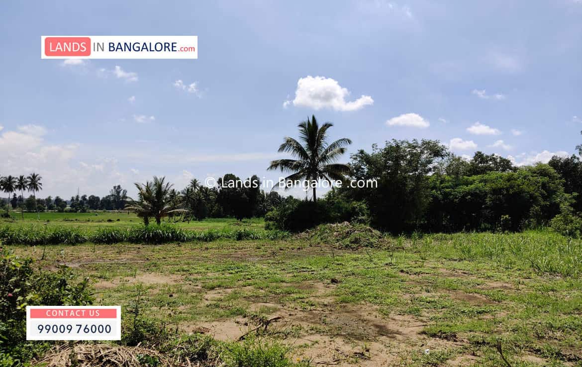 Agricultural land for sale in Kaggalipura