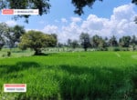 2 Acres land for sale in Kanakapura road Bangalore (2)