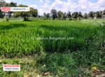 2 Acres land for sale in Kanakapura road Bangalore (4)