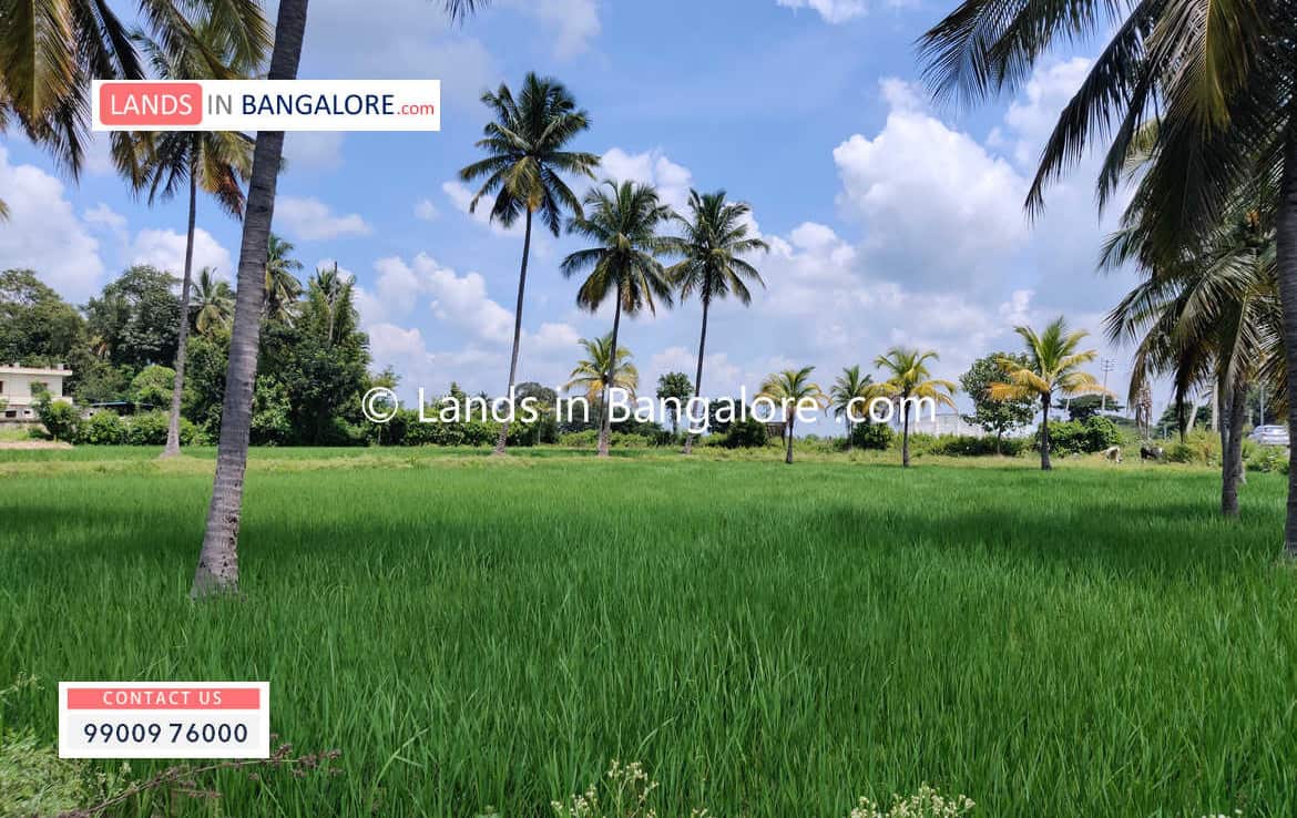 5 Acres Agricultural Land for sale in Kanakapura