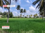 5 Acres Agricultural Land for sale in Kanakapura (1)