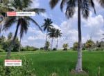 5 Acres Agricultural Land for sale in Kanakapura (2)