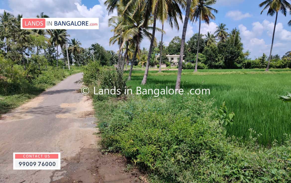5 Acres Agricultural Land for sale in Kanakapura