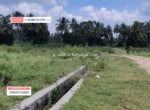 Agricultural land for sale in Somanahalli Kanakapura (1)