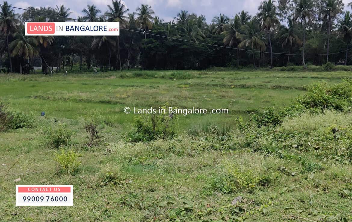 land for sale in Kaggalipura Kanakapura road