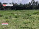 land for sale in Kaggalipura Kanakapura road