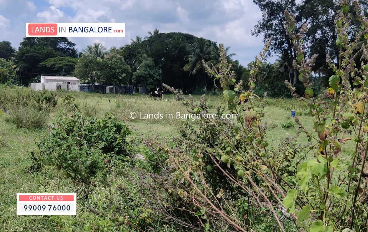 Agricultural land for sale in Somanahalli
