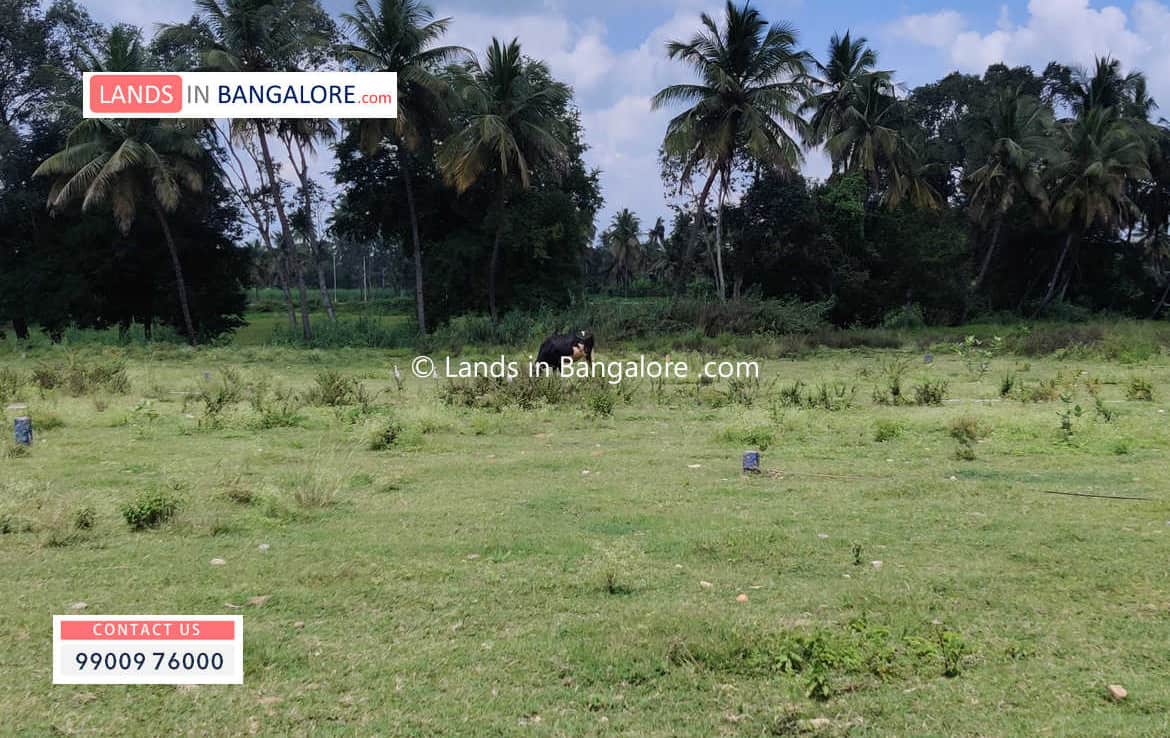 Agricultural land for sale in Somanahalli