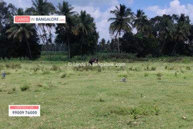 Agricultural land for sale in Somanahalli