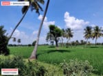 Agricultural land for sale in kanakapura road (2)