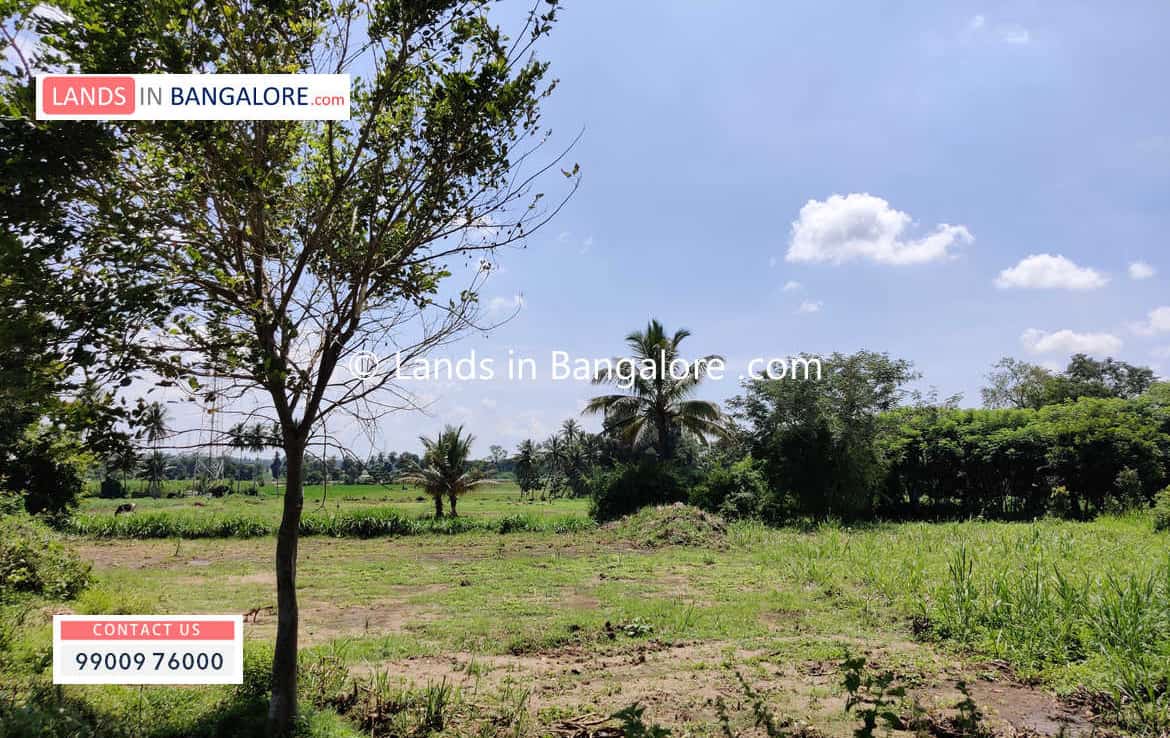 Cheap Agricultural land for sale in Kanakapura (1)