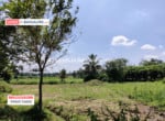 Cheap Agricultural land for sale in Kanakapura (1)