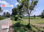 Cheap Agricultural land for sale in Kanakapura (2)