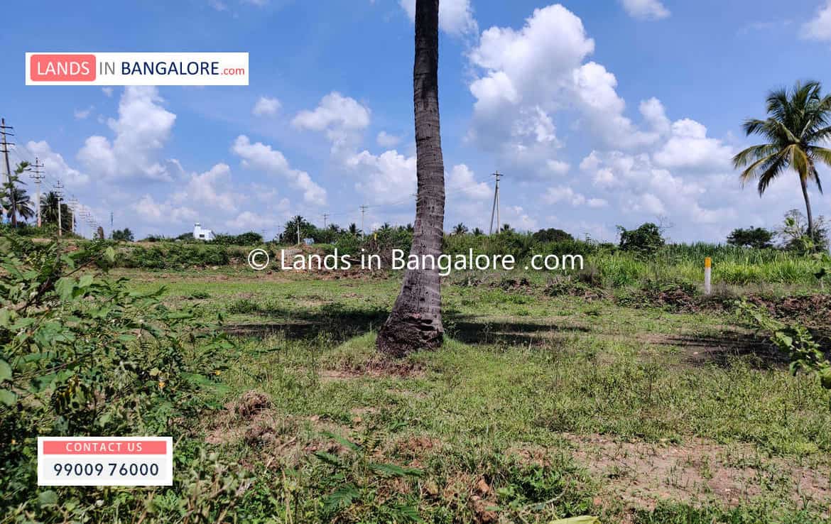 Cheap Agricultural land for sale in Kanakapura