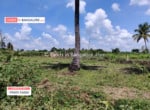 Cheap Agricultural land for sale in Kanakapura (3)