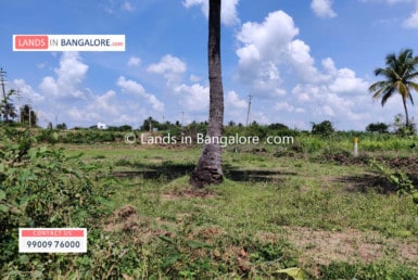 Cheap Agricultural land for sale in Kanakapura