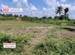 Cheap Agricultural land for sale in Kanakapura (4)