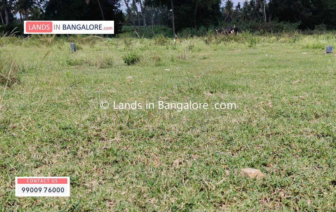 Farm Land for sale in Kanakapura road