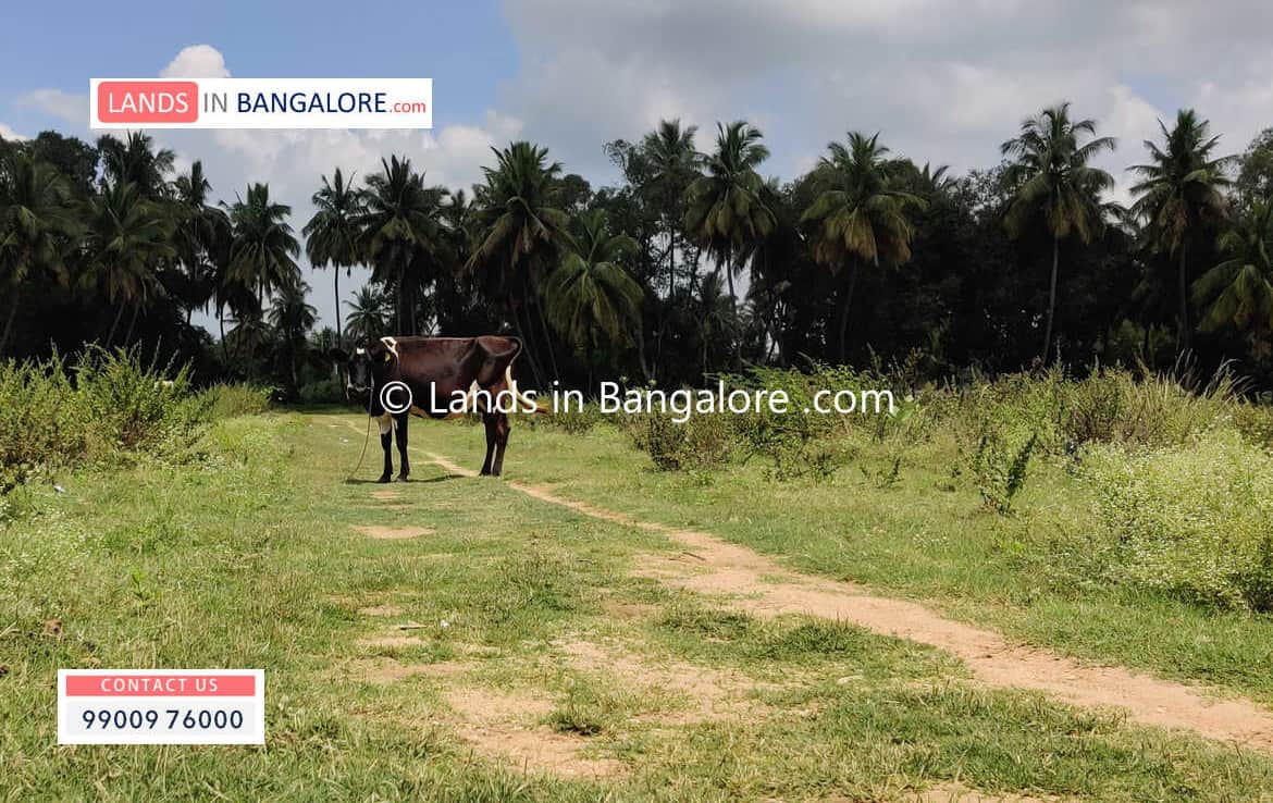 Farm Land for sale in Kanakapura road