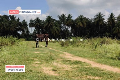 Farm Land for sale in Kanakapura road