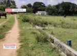 Farm Land for sale in Kanakapura road (4)