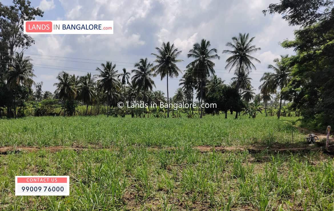 3 Acres Agricultural Land for sale in Harohalli Kanakapura