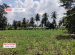 3 Acres Agricultural Land for sale in Harohalli Kanakapura