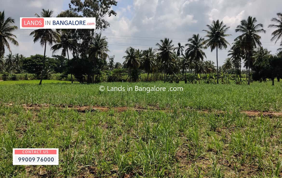 3 Acres Agricultural Land for sale in Harohalli Kanakapura