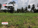 3 Acres Agricultural Land for sale in Harohalli Kanakapura