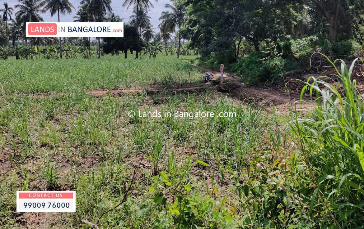 3 Acres Agricultural Land for sale in Harohalli Kanakapura