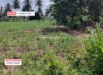 3 Acres Agricultural Land for sale in Harohalli Kanakapura