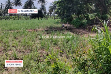 3 Acres Agricultural Land for sale in Harohalli Kanakapura