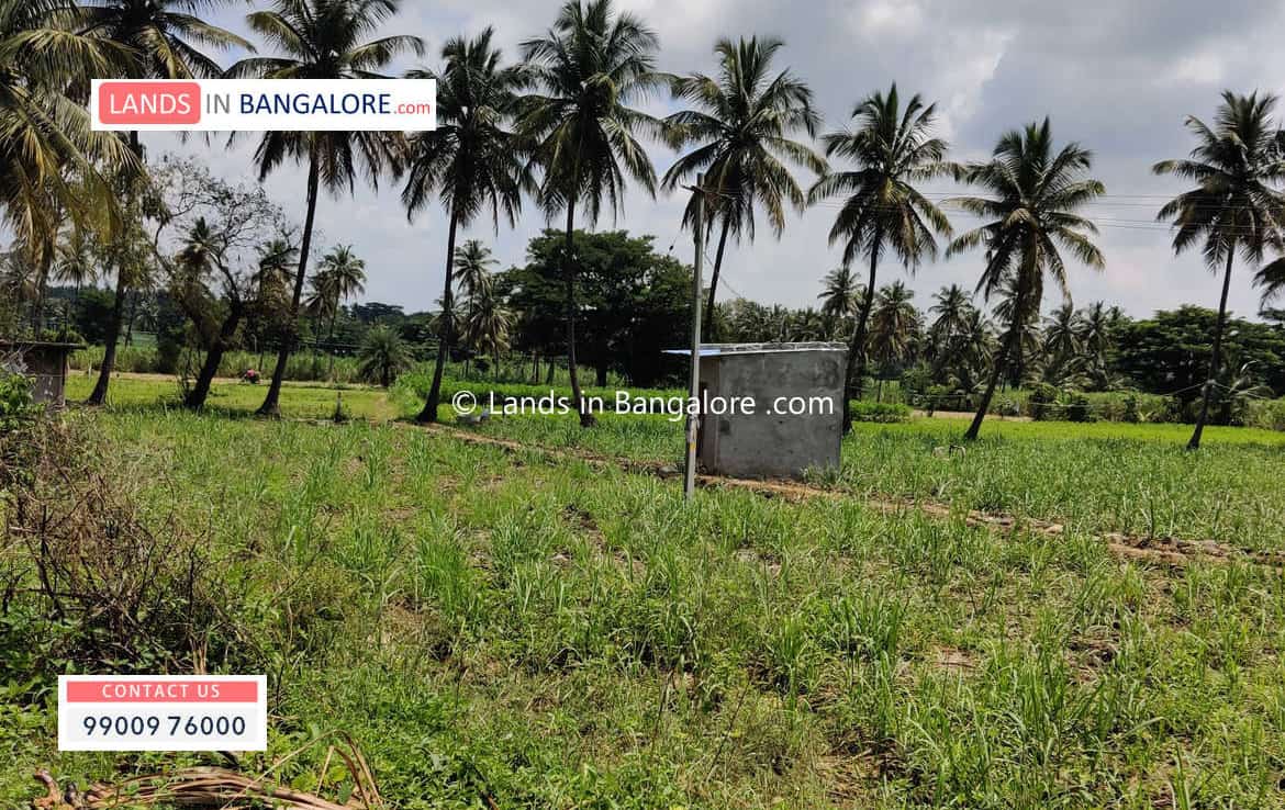 Land for sale in Harohalli