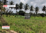 3 Acres Land for sale in Harohalli