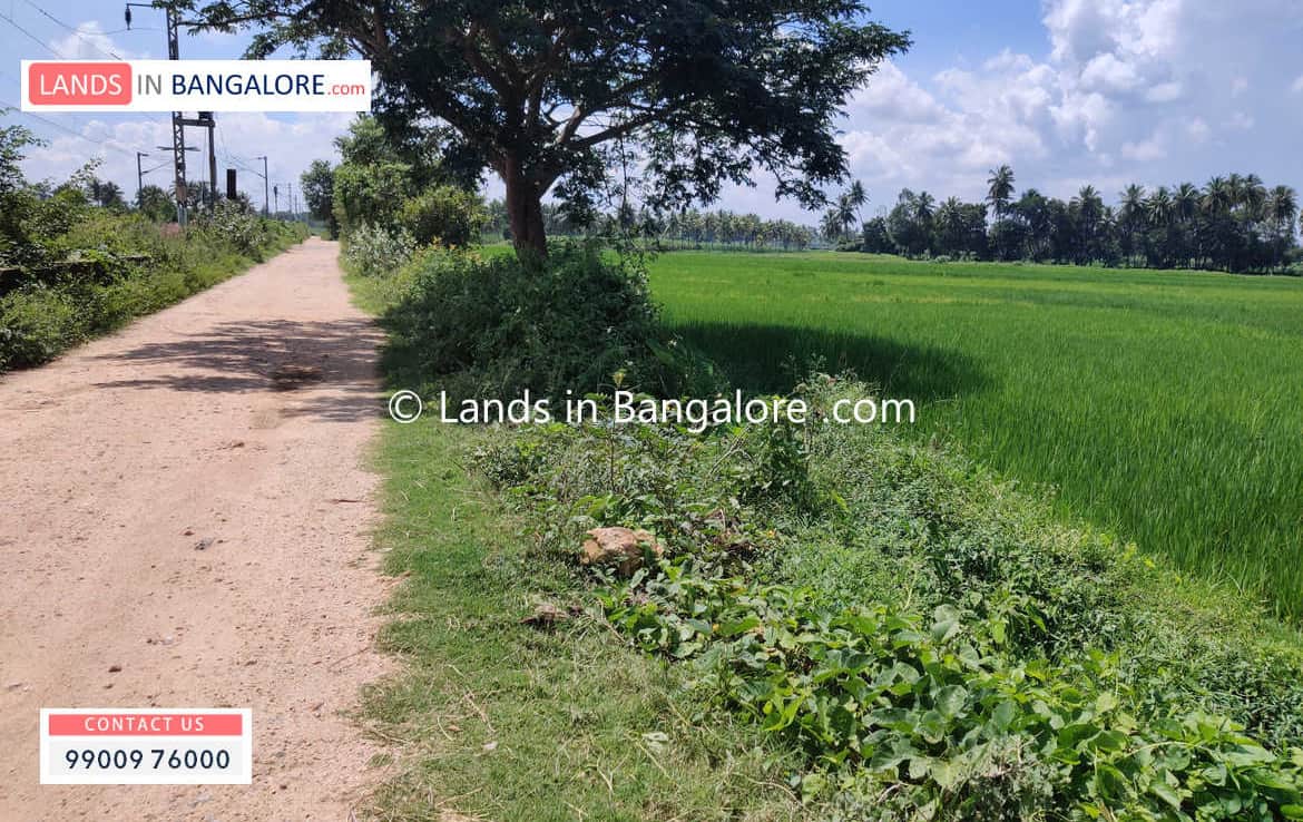 3 Acres Agricultural Land for sale in Kanakapura