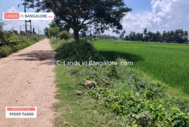 3 Acres Agricultural Land for sale in Kanakapura