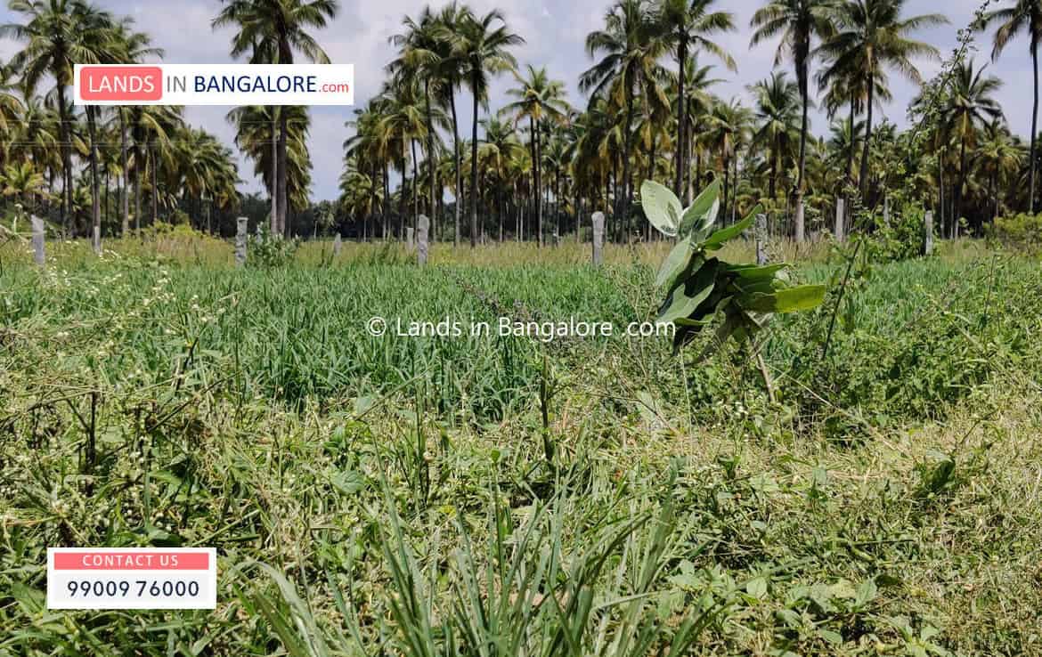 2 Acres Agricultural land for sale in Harohalli