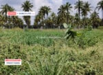 2 Acres Agricultural land for sale in Harohalli