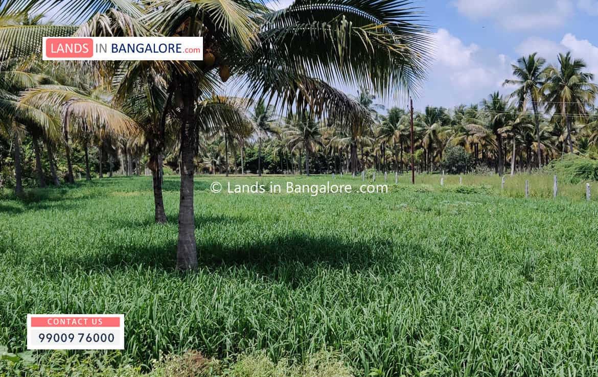 Agricultural land in Harohalli