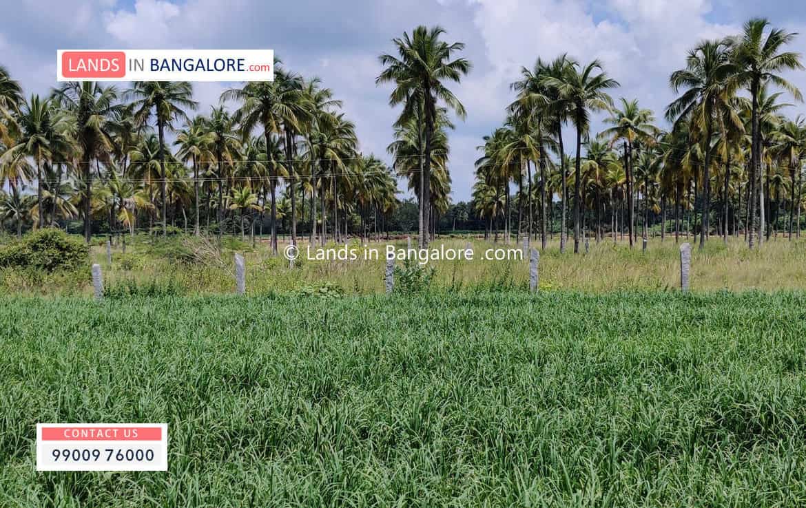 Agricultural land in Harohalli