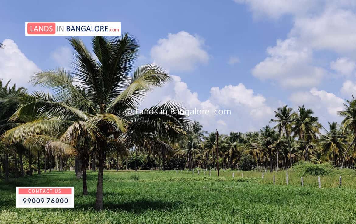 Agricultural land in Harohalli Bangalore