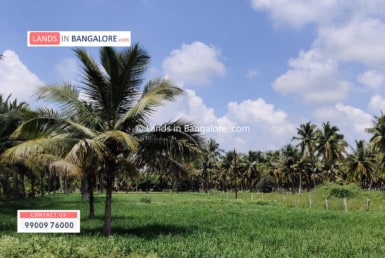 Agricultural land in Harohalli Bangalore