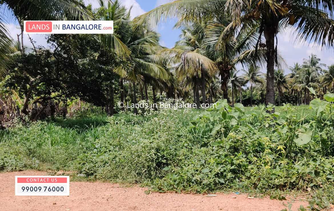 Agricultural land for sale in Harohalli