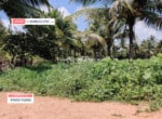 Agricultural land for sale in Harohalli