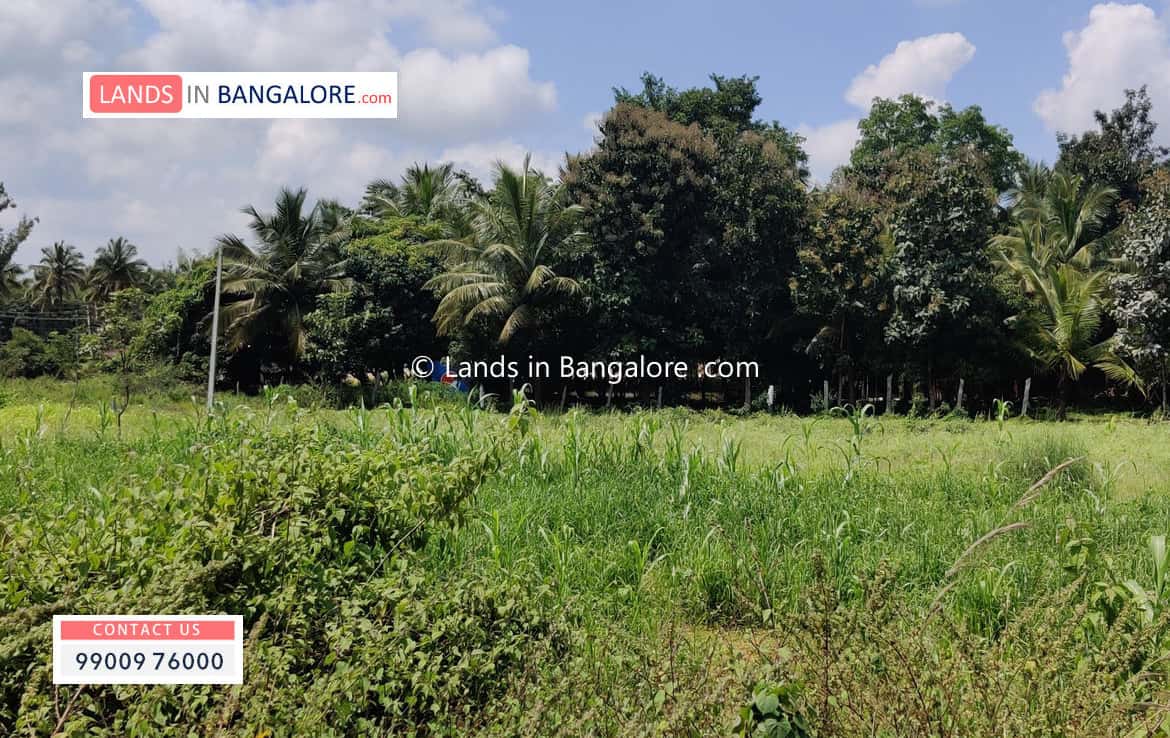 3 Acres agricultural land in Harohalli for sale